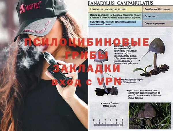 прущие крисы Алексин