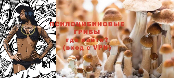 эйфоретик Алзамай