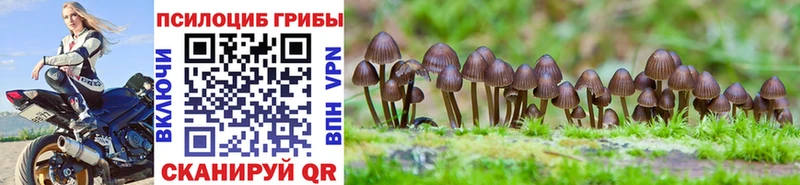 Галлюциногенные грибы GOLDEN TEACHER  Обнинск 